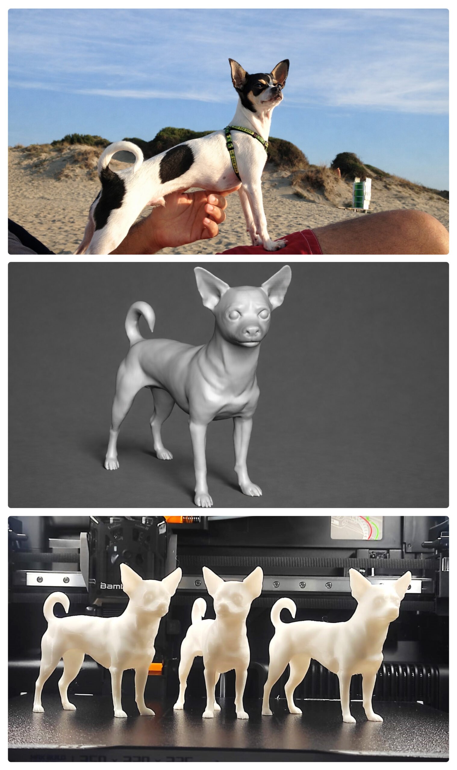 Modello 3D creato da fotografia e trasformato in statuetta tramite stampa 3D